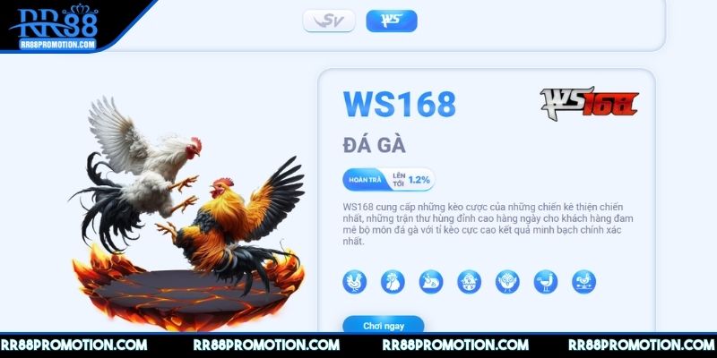 da-ga-rr88-cac-hinh-thuc