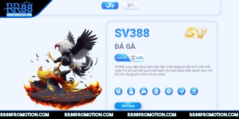 da-ga-rr88-cong-nghe-hien-dai